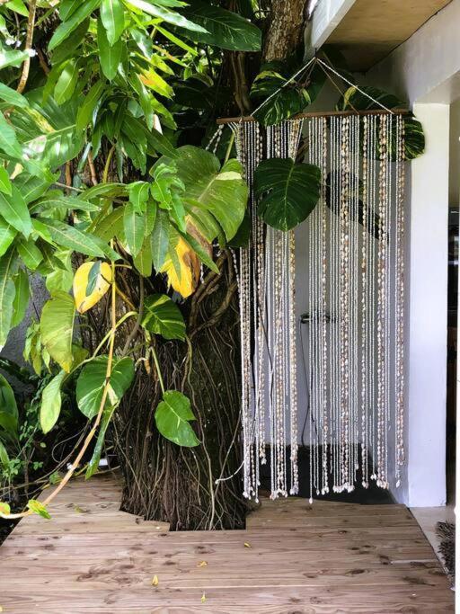 Bungalow Tiarii, Avec Acces Direct A Une Plage Privee Tevaitoa Kültér fotó